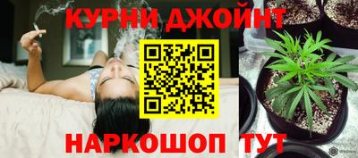МДПВ Можга