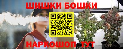 МДПВ Можга