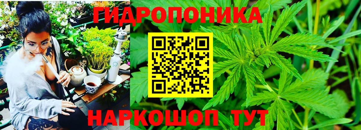 Марихуана семена  Конопля план  Бошки марихуана план  Вход с VPN  Бошки Шишки тримм  Тимашёвск 